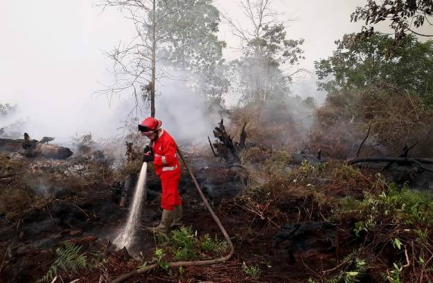 BPBD Riau Minta Bantuan Helikopter Water Bombing Perusahaan Padamkan Kebakaran di Dumai