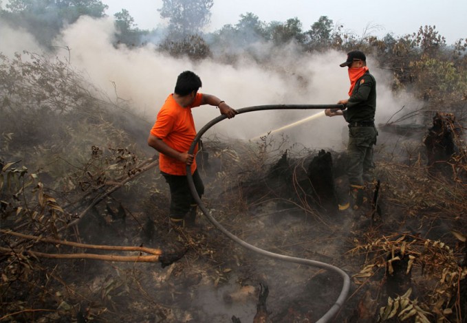Triwulan Pertama 2017, Seluas 335,5 Hektar Lahan di Riau Terbakar
