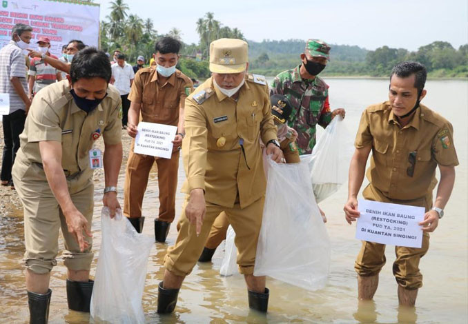 DKP Riau Tebar 112 Ribu Benih Ikan di Kuansing