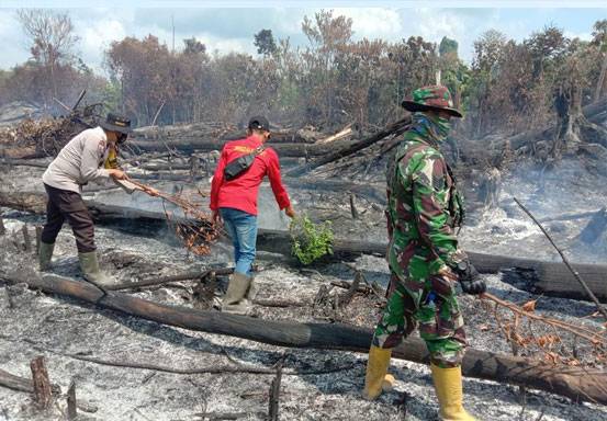 Alamak! 15 Hektare Lahan Terbakar di Rohil, 8 Pelaku Ditangkap, Satu Masih di Bawah Umur