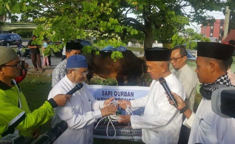 Gubernur Riau Saksikan Penyembelihan Sapi Kurban Presiden di Masjid Raya Annur