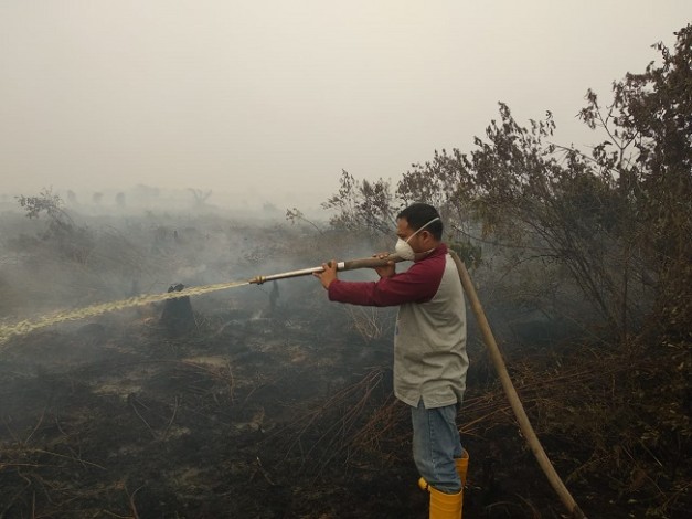 BNPB: Riau dan Kalteng Tetapkan Status Darurat Asap