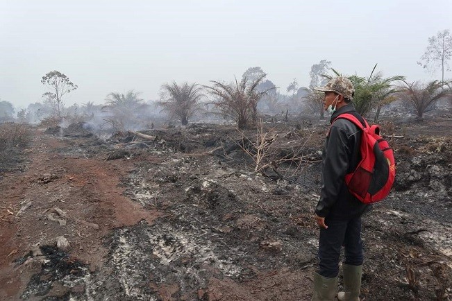 Polda Riau Tetapkan 59 Orang Tersangka Karhutla