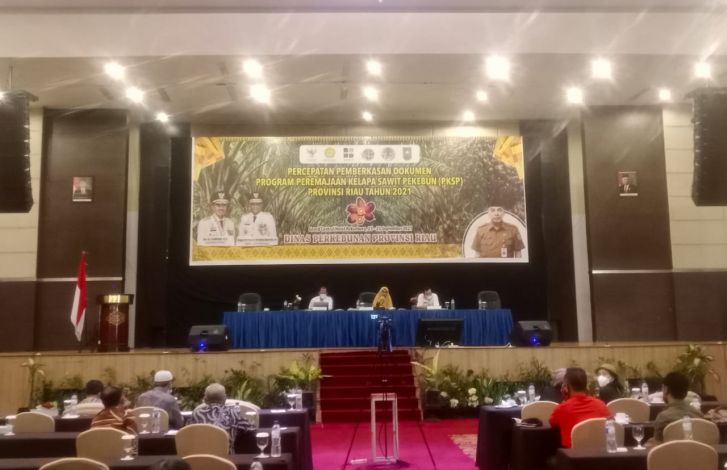 Progres Replanting Sawit di Riau Baru 392 Ha dari 26.500 Ha