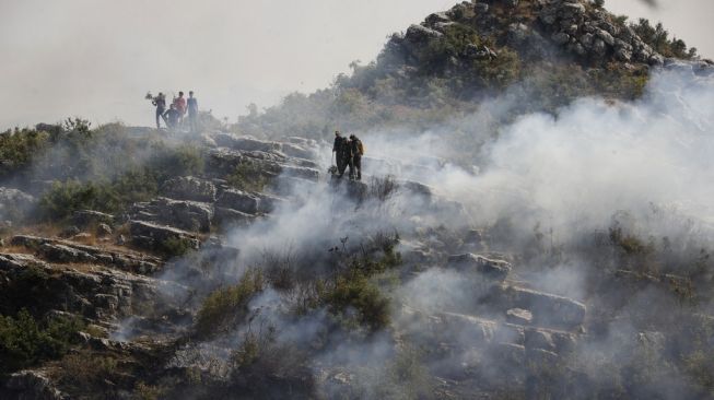 Dituduh Picu Kebakaran Hutan, 24 Orang Dieksekusi Mati Di Suriah