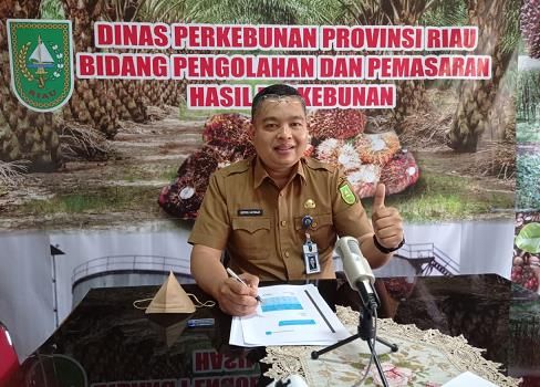 Kembali Pecah Rekor, Harga Kelapa Sawit di Riau Rp3,483 Perkilogram