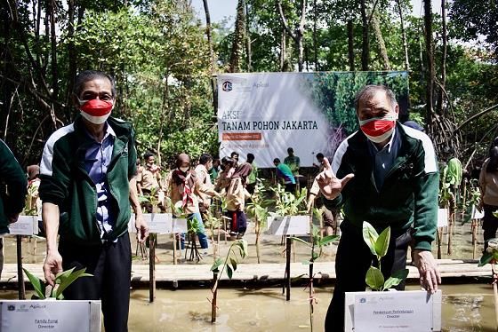 Apical Group Gandeng Pemerintah Selamatkan Mangrove di DKI Jakarta