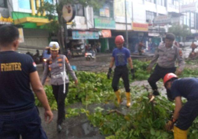Hujan Deras Disertai Angin Kencang Sebabkan Pohon Tumbang di Jalan Ahmad Yani Pekanbaru