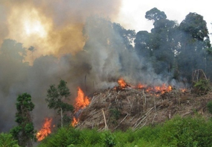 BMKG Ingatkan Ancaman Serius Karhutlah di Riau