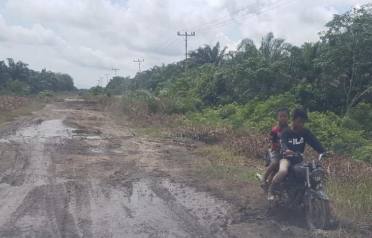 Rusak Parah, Gubri Minta Pemkab Bengkalis Segera Perbaiki Jalan Desa Muara Dua