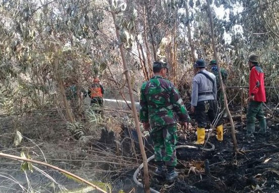Lagi, TNI Tangkap Pelaku Pembakar Lahan di Inhu