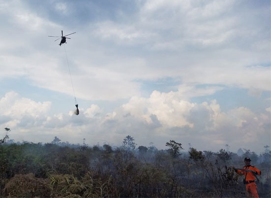 BPBD Riau Kerahkan 4 Helikopter Tuntaskan Pemadaman Api di Tiga Wilayah