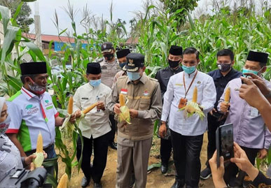 Walikota Pekanbaru: Peran Petani Besar dalam Jaga Ketahanan Pangan di masa Pandemi Covid-19