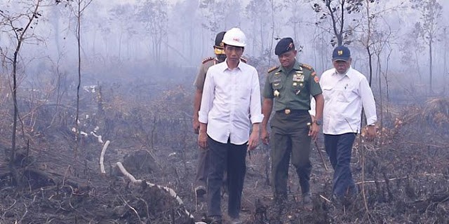 Jokowi Keok di Pengadilan Terkait Tragedi Kebakaran Lahan 2015