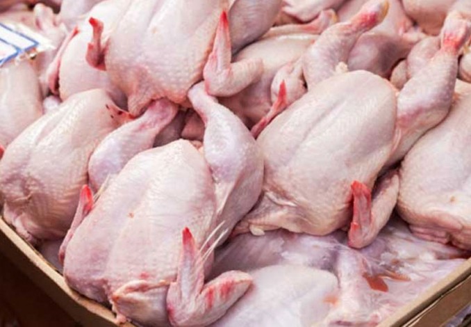 Harga Ayam Potong di Pekanbaru Anjlok