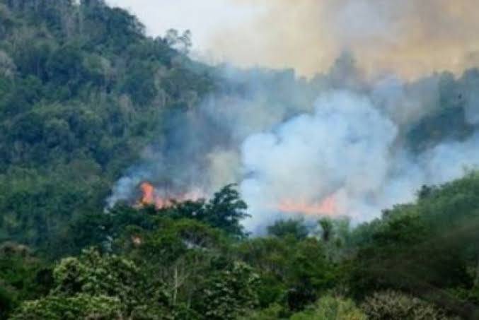 Padamkan Karhutla, Petugas dan Helikopter Waterbombing Diturunkan ke Desa Dungun Baru Rupat