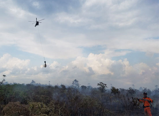 Lima Helikopter Water Bombing Diterjunkan Padamkan Karhutla di Rohil