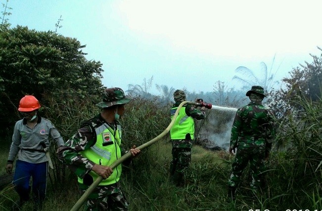 60 Hektare Lahan PT TPS di Inhu Terbakar