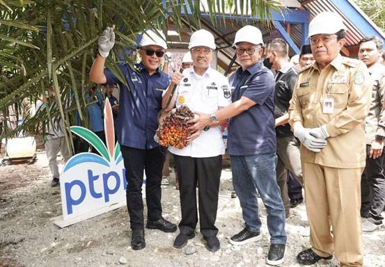 Gubernur Riau: PSR PTPN V Tingkatkan Produktivitas Sawit Petani