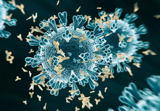 Virus Corona Varian Baru dari Inggris Masuk ke Singapura