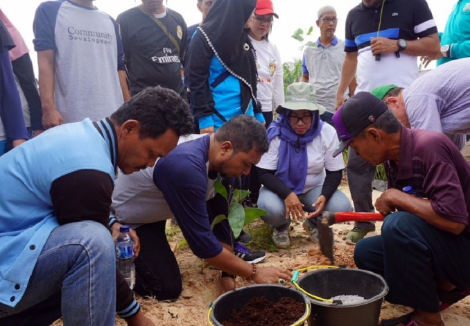 Warga Pelalawan Manfaatkan Lahan untuk Tanam Pohon