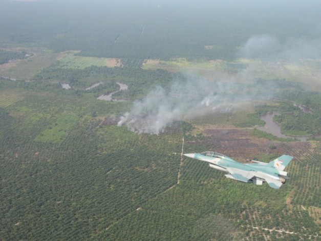 Ribuan Hektar Lahan Terbakar, Tim Kesulitan Tangani Asap