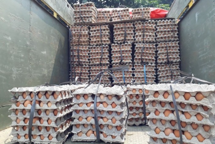 Harga Telur di Pekanbaru Meroket, Omset Turun Hingga 50 Persen