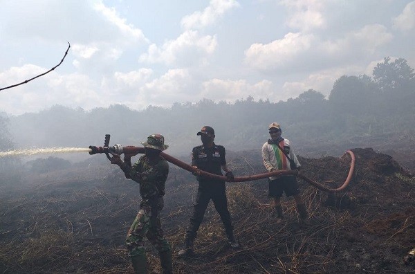 Polda Riau Sidik Kebakaran Lahan PT DSI