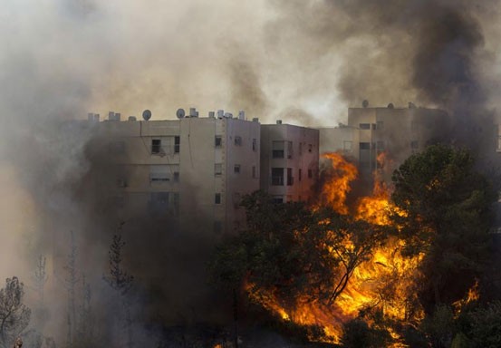 Israel Minta Bantuan Mesir Padamkan Kebakaran Hutan