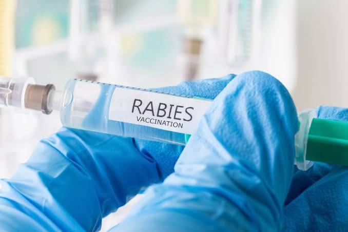 Stok Habis, Daerah Bisa Ajukan Vaksin Rabies ke Pemprov Riau