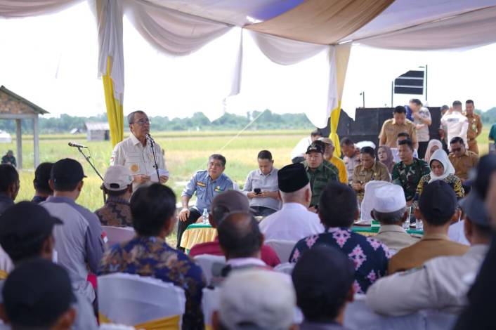 Petani Sabak Auh Keluhkan Air, Gubernur Riau Langsung Tindaklanjuti