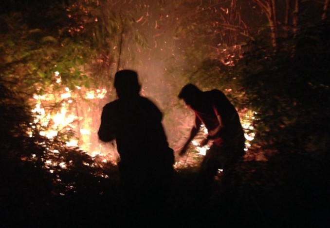 20 Hektare Lahan Gambut Terbakar di Kepulauan Meranti