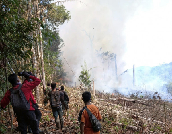 Ada Aktivitas Buka Lahan, Taman Nasional Bukit Tigapuluh Riau Terbakar