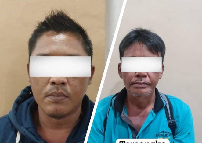 Amankan Ribuan Batang Kayu, Polres Rohil dan Bea Cukai Ungkap Kasus Dugaan Perdagangan Orang