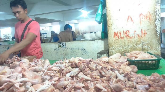 Harga Ayam di Pekanbaru Turun Tipis