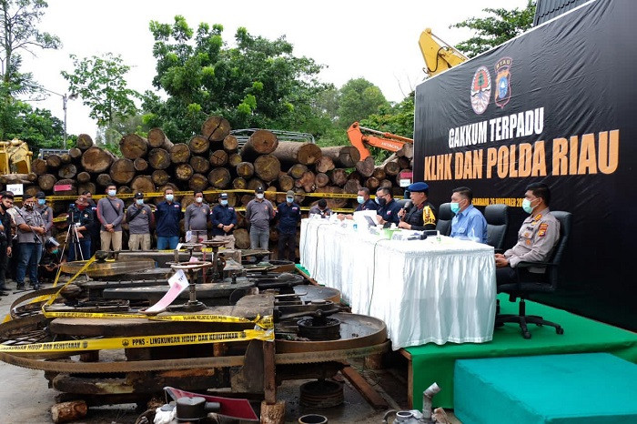 Polda Riau dan KLHK Tindak 19 Sawmill Penampung Kayu Ilegal