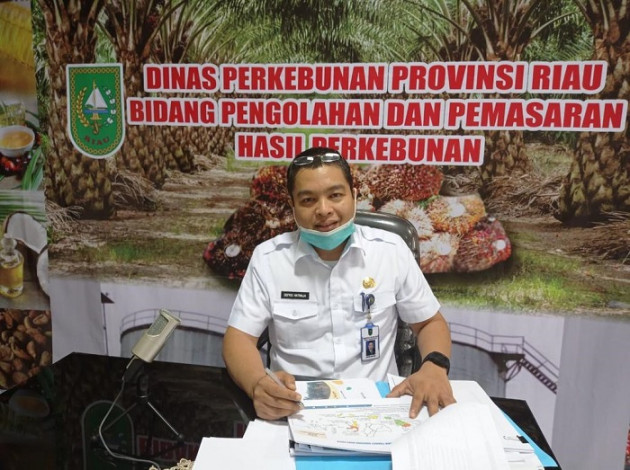 Harga TBS Kelapa Sawit di Riau Naik Tipis, Kini di Level Rp2.181 /Kg