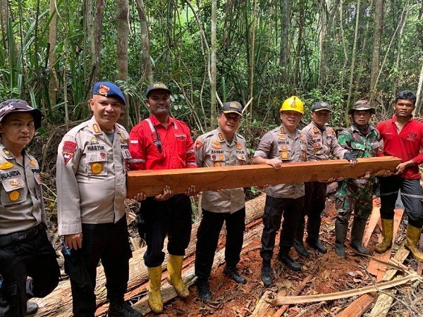 Lihat Pembalakan Liar di Kawasan Hutan, Kapolda Riau: Ayo Kita Lawan!