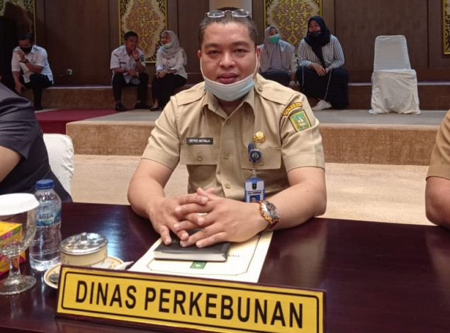 Sepekan ke Depan Harga TBS Kelapa Sawit Riau Turun, Jadi Rp 2.117 Perkilogram