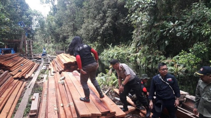 Kapolda Riau Instruksikan Kapolres dan Ditkrimsus Tangkap Cukong Pembalakan Liar Cagar Biosfer GSK-BB