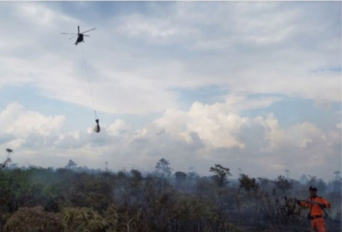 Karhutla Meluas di Riau, Ini Armada Satgas Udara yang Dikerahkan untuk Memadamkan Api