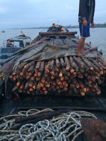 Ditpolair Polda Riau Gagalkan Penyelundupan 1.300 Batang Kayu Bakau ke Malaysia