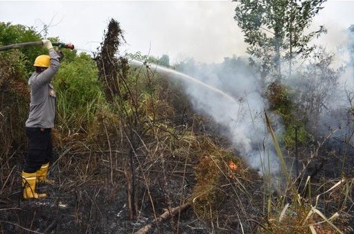 Polresta Pekanbaru Berhasil Padamkan 2 Hektare Lahan yang Terbakar di Rumbai