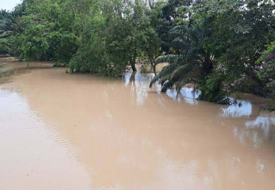 Sering Meluap dan Sebabkan Banjir, Sungai Sail Pekanbaru Belum Dinormalisasi