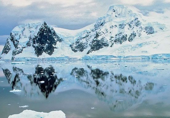 Ilmuwan Chile Temukan Bakteri Super Kuat di Antartika, Tak Mempan Pakai Disinfektan