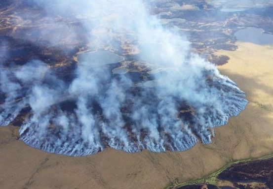 Alaska Dilanda Kebakaran Hutan Terbesar Hingga Bahayakan Pernapasan