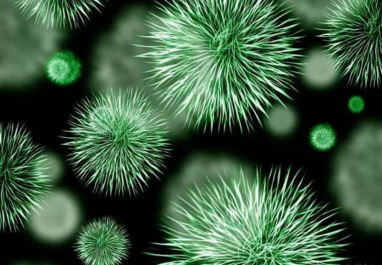 4 fakta Disease X yang Diprediksi Picu Pandemi Baru