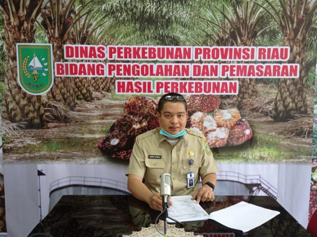 Turun Sedikit, Harga TBS Kelapa Sawit Riau Pekan Ini Rp2.092 Perkilogram