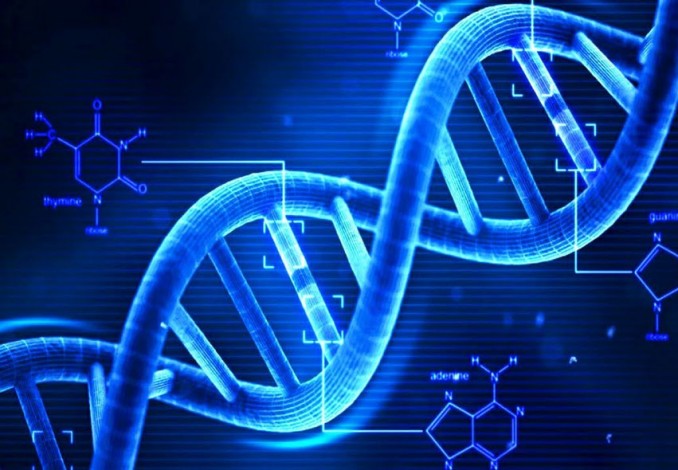 Ilmuwan Temukan DNA Manusia Berasal dari Sejoli Adam dan Hawa