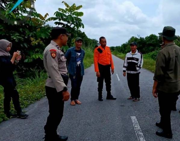 Jejak Harimau Terlihat di Kampung Merempan Hulu Siak, BBKSDA akan Kerahkan Drone